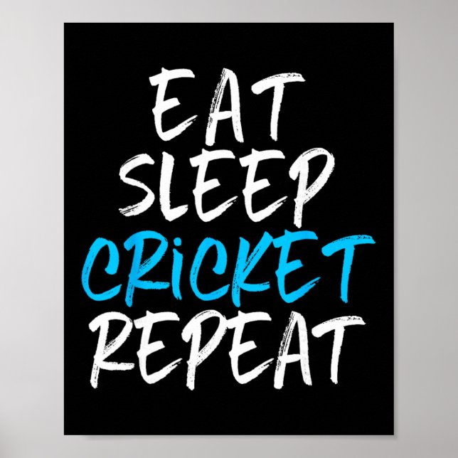 Eat Sleep Cricket Repeat Player Fan Lover Funny  Poster (Front)