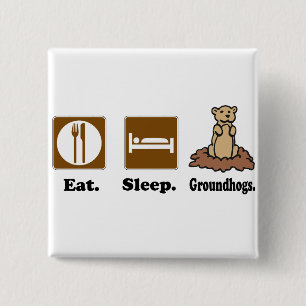 Eat Sleep Groundhogs 15 Cm Square Badge