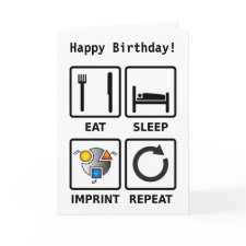 Eat, sleep, imprint, repeat greetings card