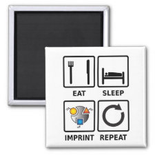 Eat, sleep, imprint, repeat magnet