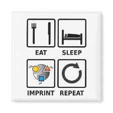 Eat, sleep, imprint, repeat magnet