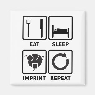 Eat, sleep, imprint, repeat magnet mono graphic