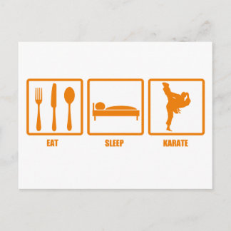 Eat Sleep Karate Postcard