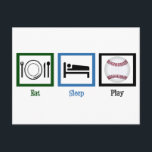 Eat Sleep Play Baseball Postcard<br><div class="desc">For the baseball fanatic who is obsessed with the sport.</div>