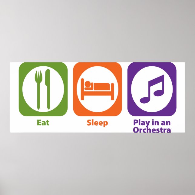 Eat Sleep Play in an Orchestra Poster (Front)
