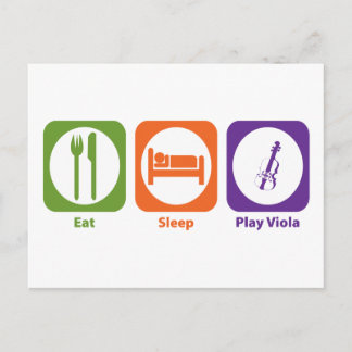 Eat Sleep Play Viola Postcard