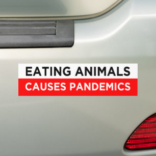 eating animals causes pandemics vegan bumper sticker