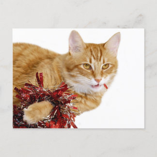 Eating Christmas decorations Holiday Postcard
