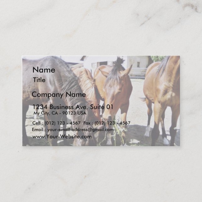 Eating Horses Business Card (Front)