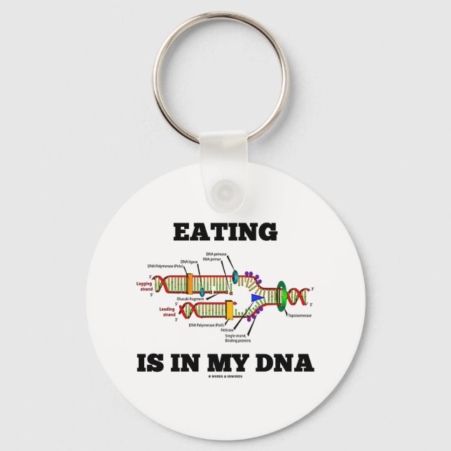 Eating Is In My DNA (DNA Replication Humour) Key Ring (Front)