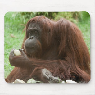 Eating Orangutan Mouse Mat