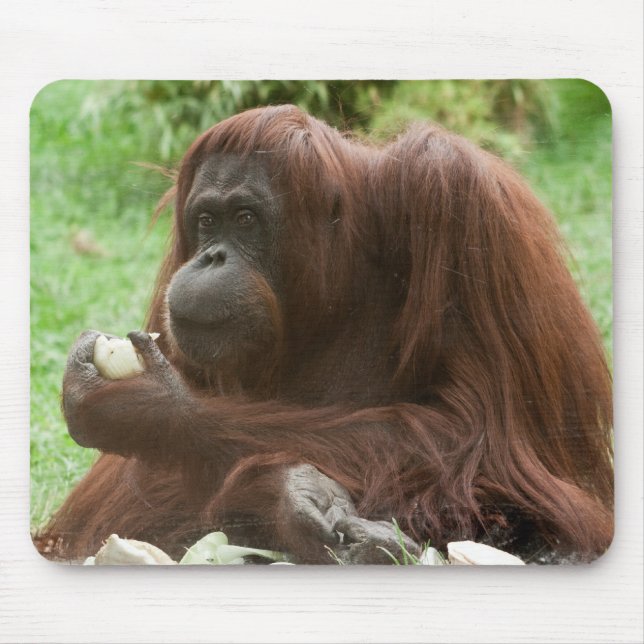 Eating Orangutan Mouse Mat (Front)