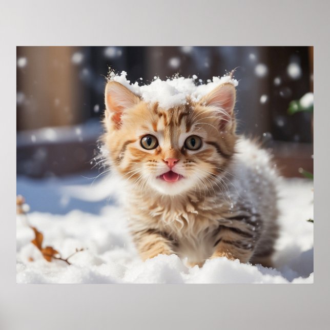 *~* Eating Snow Kitty 5:4  Kitten Cat AP68 Poster (Front)