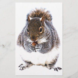 Eating Squirrel
