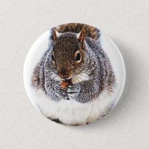 Eating Squirrel 6 Cm Round Badge