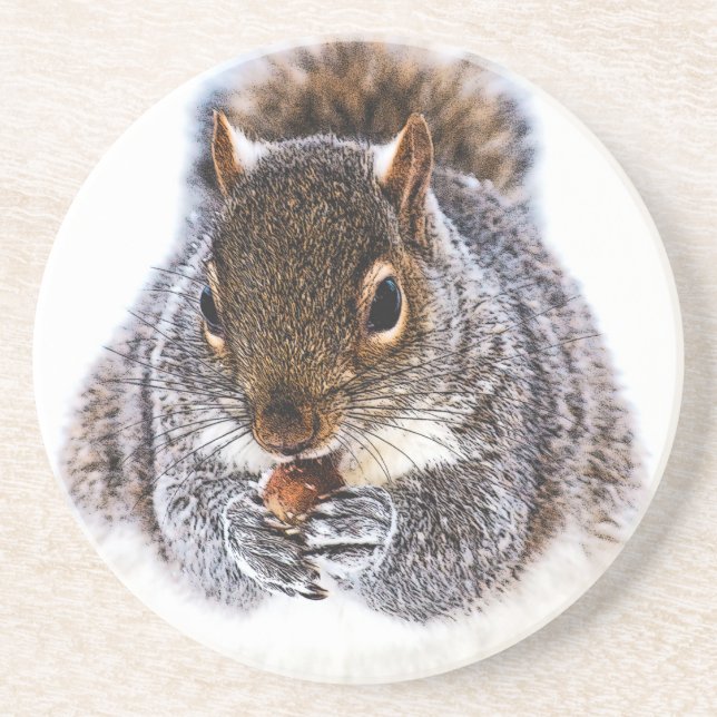 Eating Squirrel Coaster (Front)