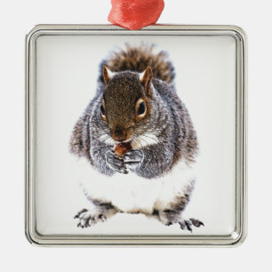Eating Squirrel Metal Tree Decoration