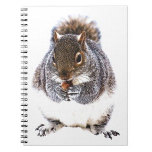 Eating Squirrel Notebook