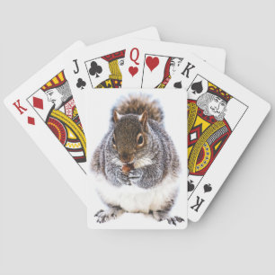 Eating Squirrel Playing Cards