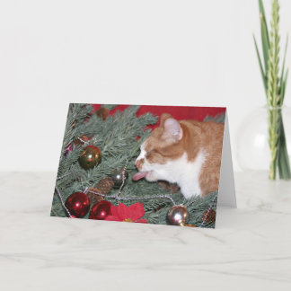 Eating the Christmas tree Holiday Card