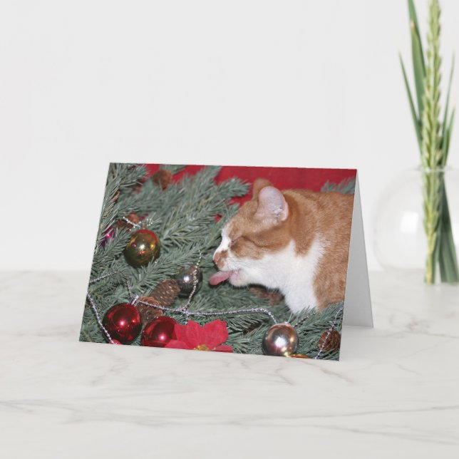 Eating the Christmas tree Holiday Card (Front)