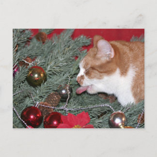 Eating the Christmas tree Holiday Postcard