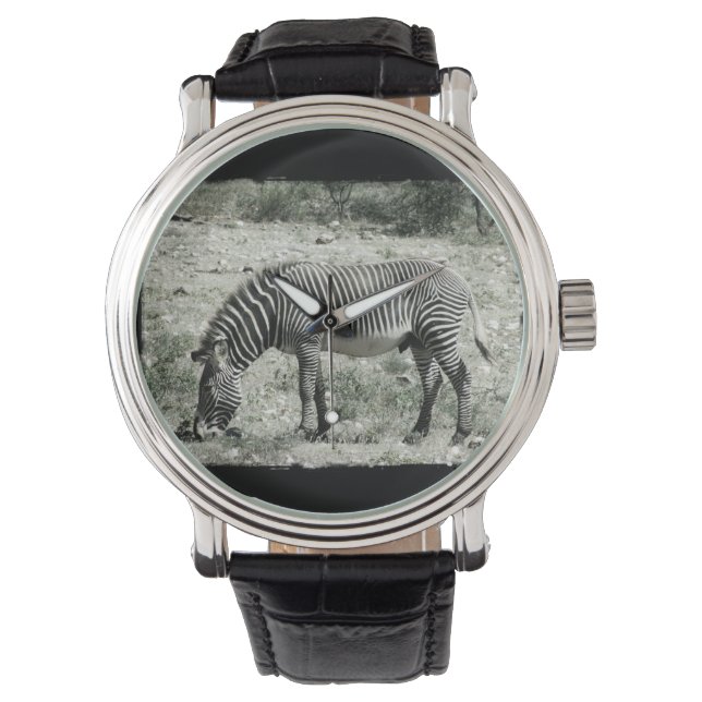 Eating Zebra Watch (Front)