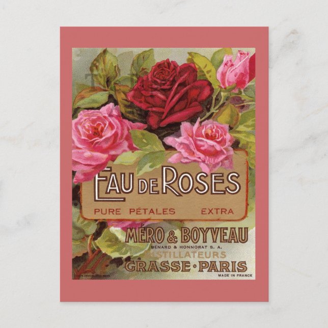 Eau De Roses French Scent Postcard (Front)