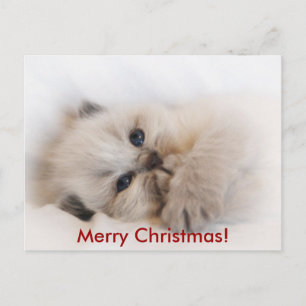 ebay 003, Merry Christmas! Holiday Postcard