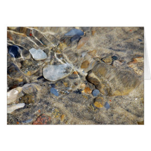 "Ebb and Flow" collection