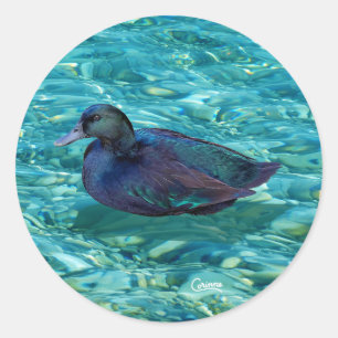 Ebony Duck - Envelope Stickers