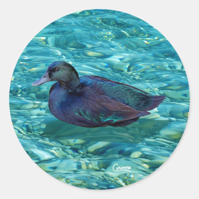 Ebony Duck - Envelope Stickers (Front)