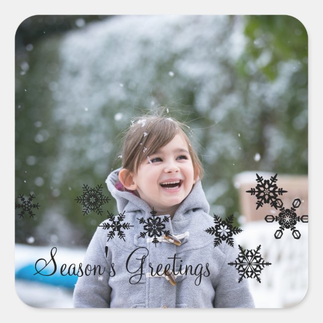 Ebony Elegant Snowflakes Holiday Photo Stickers (Front)