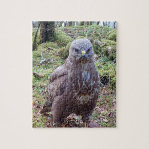Eccentric Grumpy Buzzard With Attitude Stare  Jigsaw Puzzle