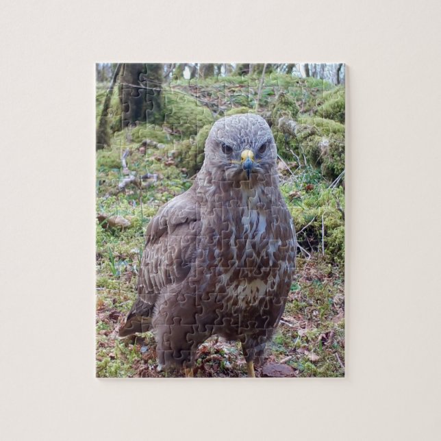Eccentric Grumpy Buzzard With Attitude Stare  Jigsaw Puzzle (Vertical)