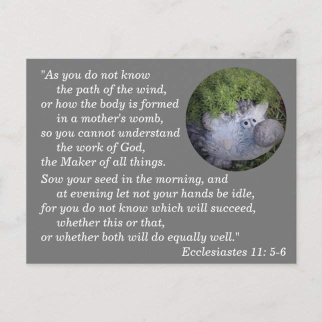 Ecclesiastes 11:5-6 Bible Verse Memory Postcard (Front)