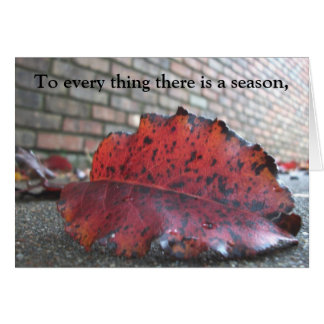 Ecclesiastes 3:1