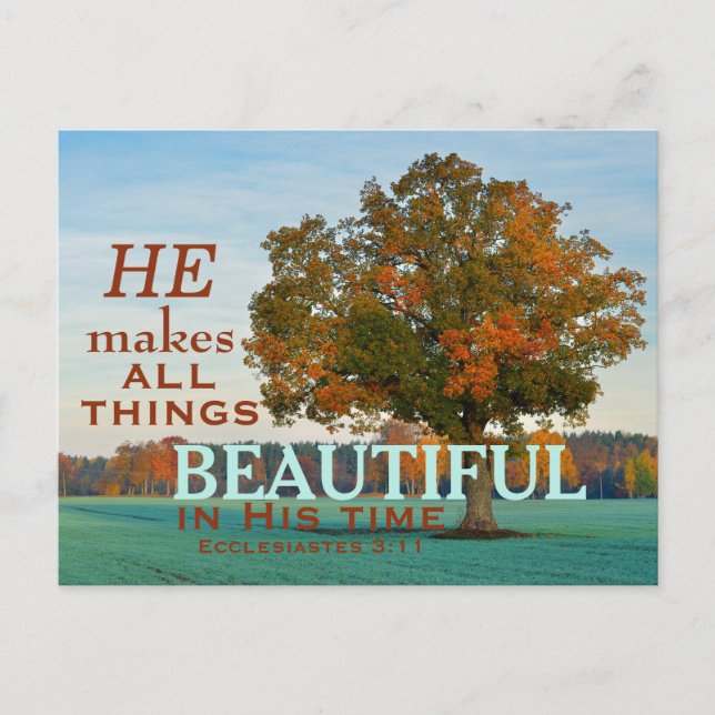 Ecclesiastes 3:11 All things beautiful Postcard (Front)