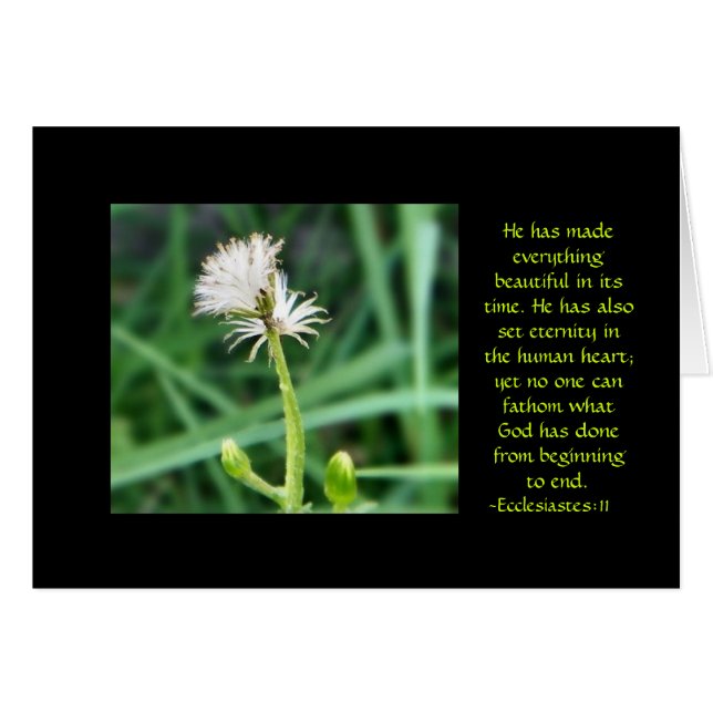 Ecclesiastes 3:11 flower card (Front Horizontal)