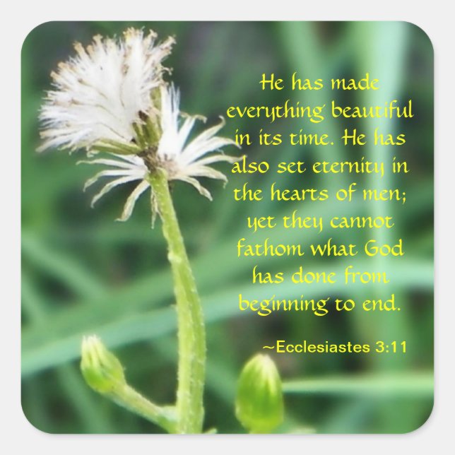 Ecclesiastes 3:11 sticker (Front)