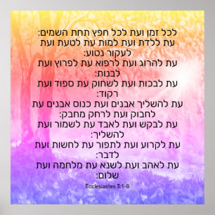 Ecclesiastes 3:1-8  poster