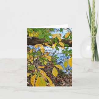 Ecclesiastes 3:1  card