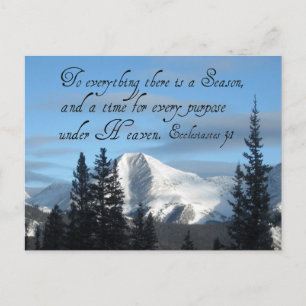 Ecclesiastes 3:1 postcard