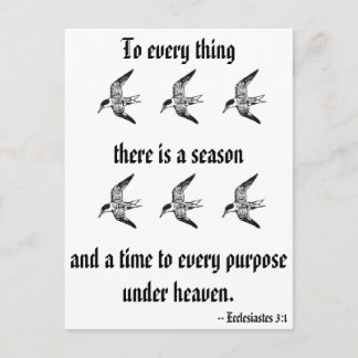 Ecclesiastes 3:1 postcard