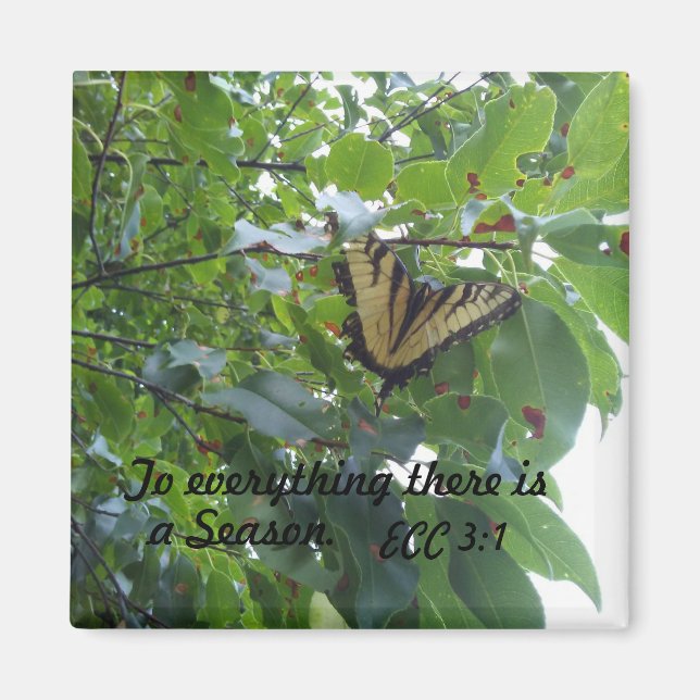 Ecclesiastes 3:1 To everything there is a season Magnet (Front)