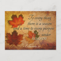 Ecclesiastes 3:1 To everything there is a season,