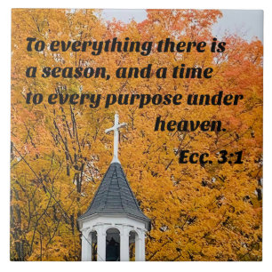 Ecclesiastes 3:1 To everything there is a Season Tile