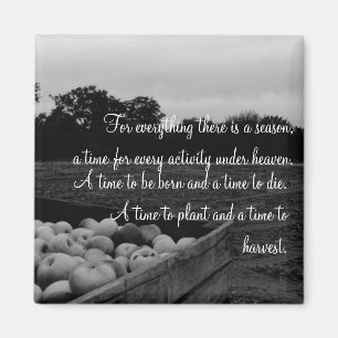 Ecclesiastes 3:2 magnet
