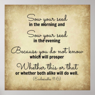 Ecclesiastes Bible verse sow your seed Poster