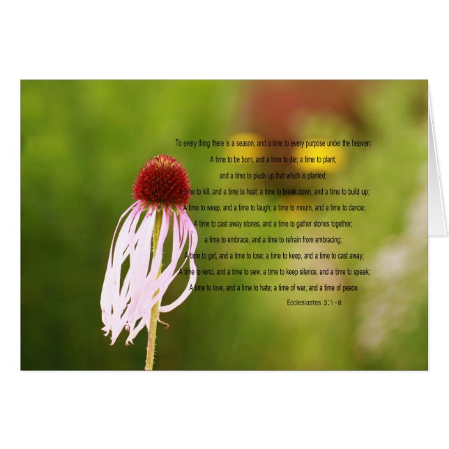 Ecclesiastes Verse Card (Front Horizontal)